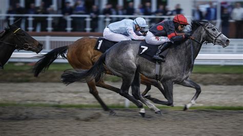 chelmsford race results|chelmsford racing results tonight.